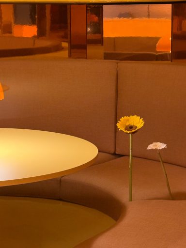 Cateto Club by CATETO CATETO
